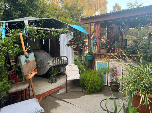 Embracing Nature's Canvas: My Oasis of Creativity in the Outdoor Studio