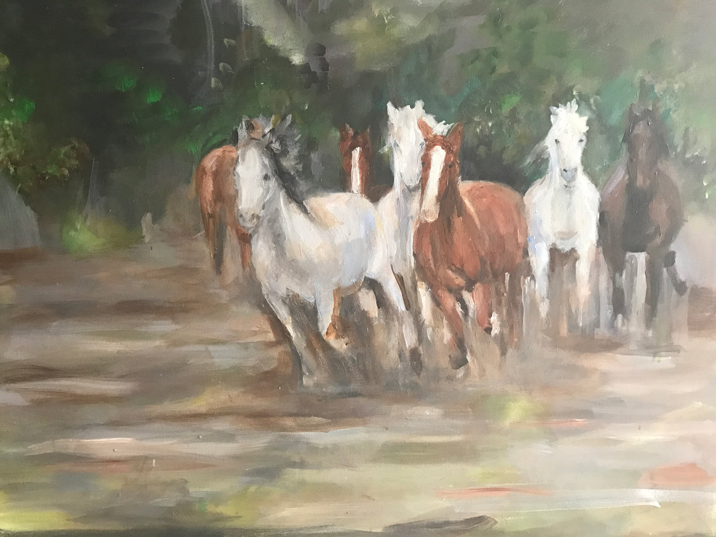 HORSES RUNNING